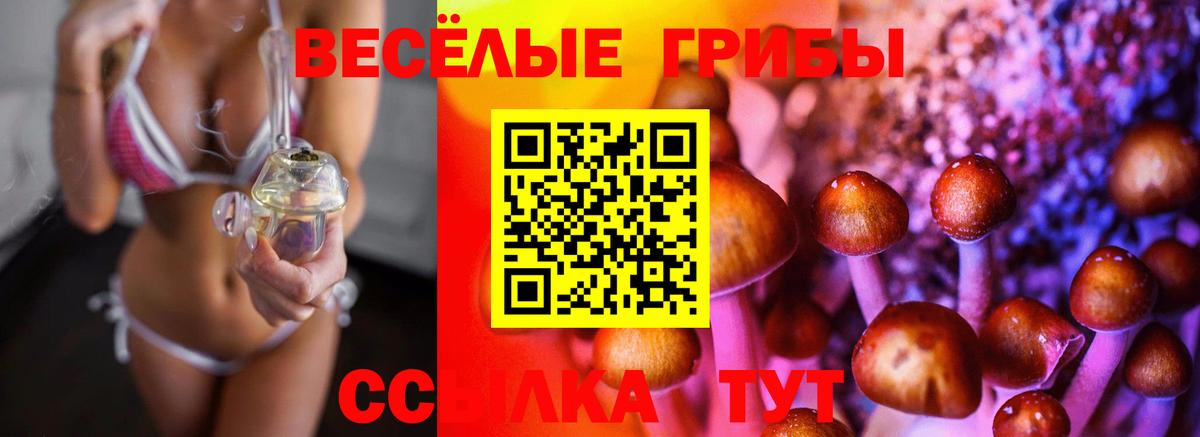 Псилоцибиновые грибы Magic Shrooms  Вход с VPN  Рубцовск 